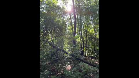 babydarii @ bongacams on 20250801