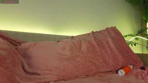 lili_roze @ bongacams on 20250801