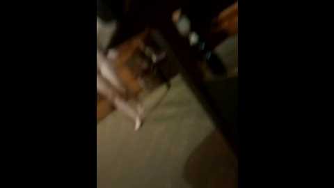 Media: nasty4 Bongacams 2025-08-01 22:20:00
