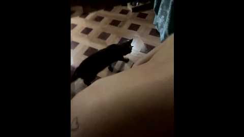 sexamani @ bongacams on 20250801