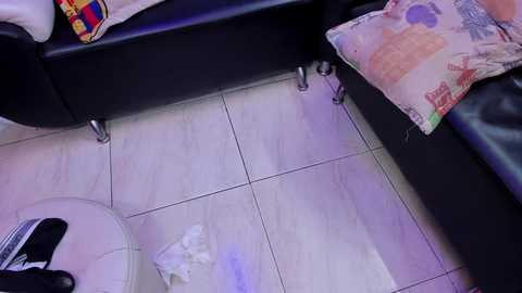 room_kitty @ bongacams on 20250802