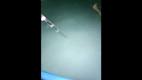 rosfair @ bongacams on 20250802
