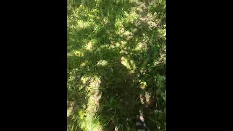 zhozhoba69 @ bongacams on 20250803