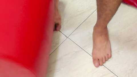 blow2job_lat @ bongacams on 20250804