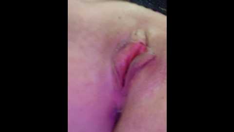 kotandsusie @ bongacams on 20250804