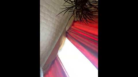 nastya48 @ bongacams on 20250805