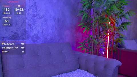 petitekimy @ bongacams on 20250805