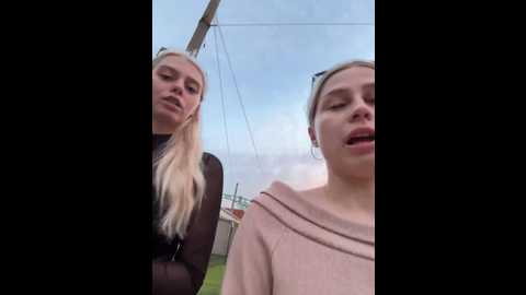 vibromashulkadashulka @ bongacams on 20250806