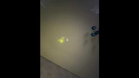 xxxklsdf @ bongacams on 20250806