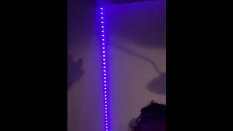 koshka11 @ bongacams on 20250807