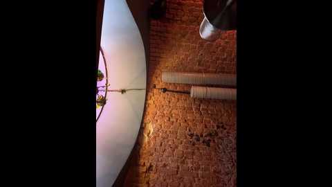 teossa_ @ bongacams on 20250807