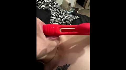 gloriya2511 @ bongacams on 20250808