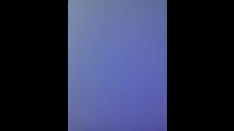 nezukoo @ bongacams on 20250808