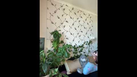 cutiedollbc @ bongacams on 20250809