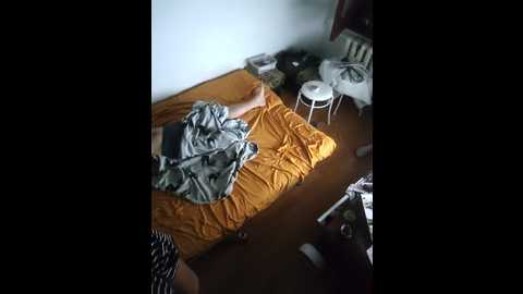psihi @ bongacams on 20250811