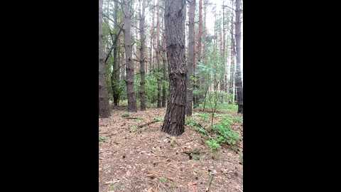 Media: sweet775 Bongacams 2025-08-11 08:21:00