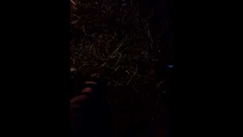 artem29aalisa29 @ bongacams on 20250812