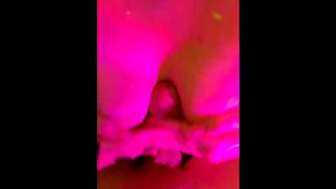 imoamo @ bongacams on 20250813