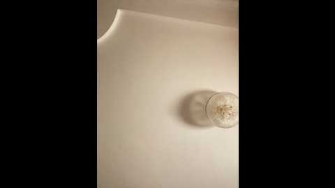 partynextnext @ bongacams on 20250813
