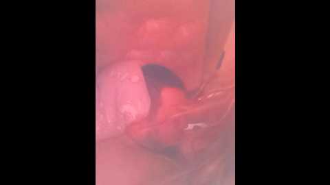 pisyli @ bongacams on 20250814