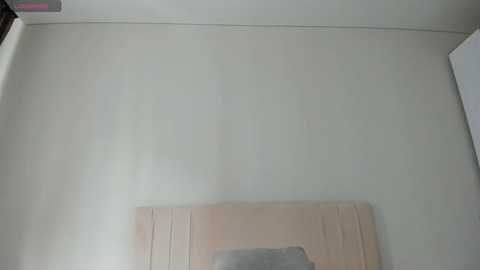 sweetyvikki @ bongacams on 20250814
