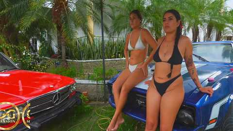 ggmansion @ bongacams on 20250815