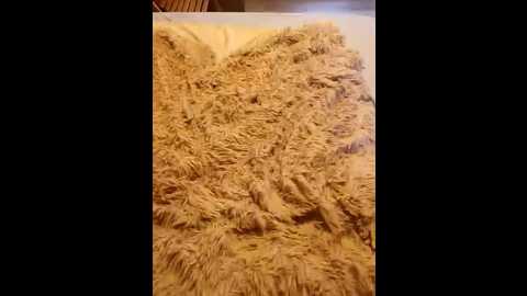 goodminibabe @ bongacams on 20250815