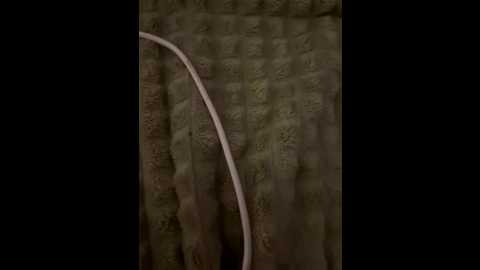 Media: richrichia Bongacams 2025-08-15 21:57:00