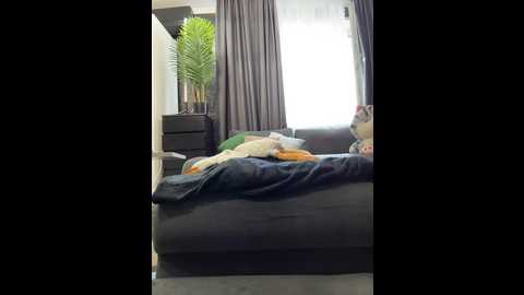 vero19nika @ bongacams on 20250816