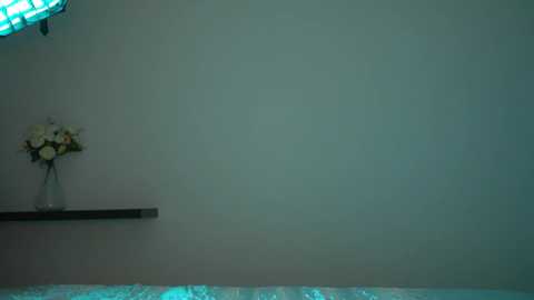 milamayy @ bongacams on 20250817