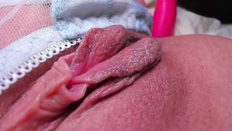 teeencute @ bongacams on 20250817