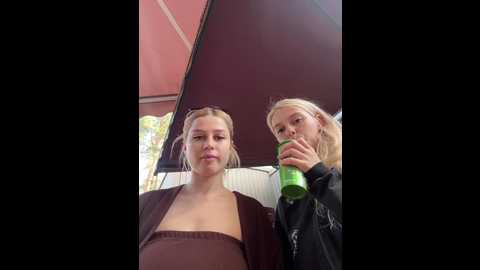 vibromashulkadashulka @ bongacams on 20250817