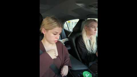 vibromashulkadashulka @ bongacams on 20250817
