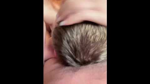 essss33331 @ bongacams on 20250818