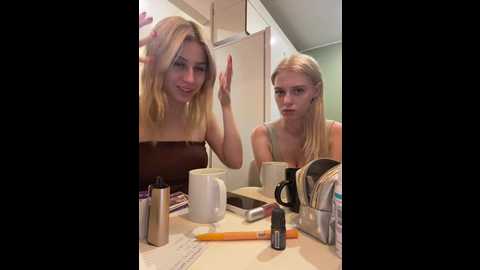 vibromashulkadashulka @ bongacams on 20250819