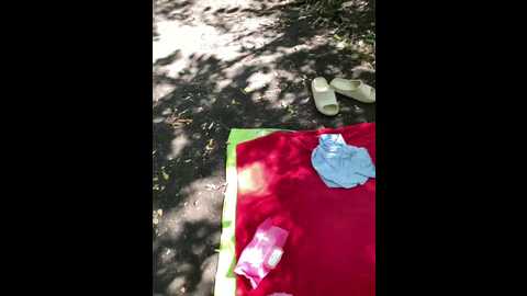 Media: crazy_lady Bongacams 2025-08-21 10:43:00