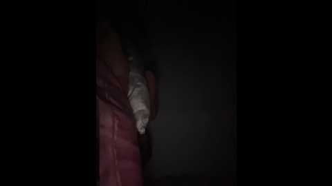 Media: sallyeleins Bongacams 2025-08-21 06:44:00