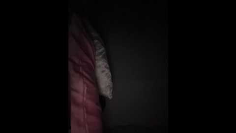 sallyeleins @ bongacams on 20250821