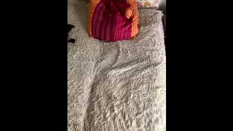 kittens1