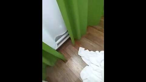 par0chkaa