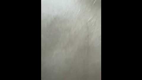 Media: alinagilberd03 Bongacams 2025-08-31 02:18:00