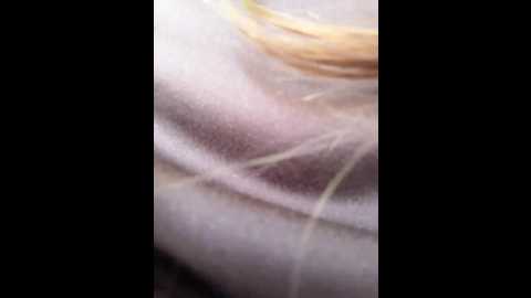 Media: _saharochek_ Bongacams 2025-09-01 09:59:00