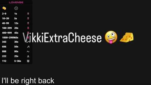 _vikkil0vescheese_