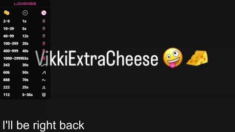 _vikkil0vescheese_