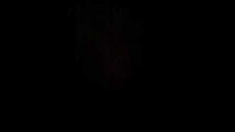 Media: fox_81 Bongacams 2025-09-05 09:15:00