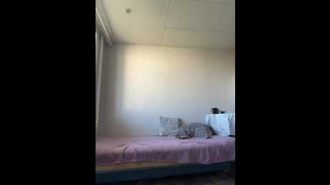 kriss_kisa