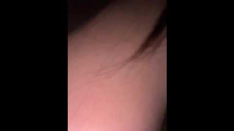 marsandvenera