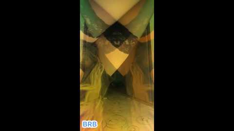 no_face_guy @ bongacams on 20250910