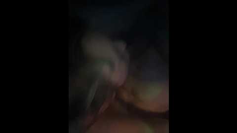 razvedos5