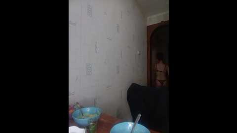totodasha